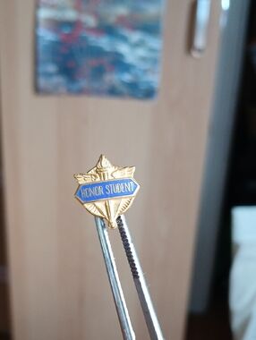 Honor Student Pin